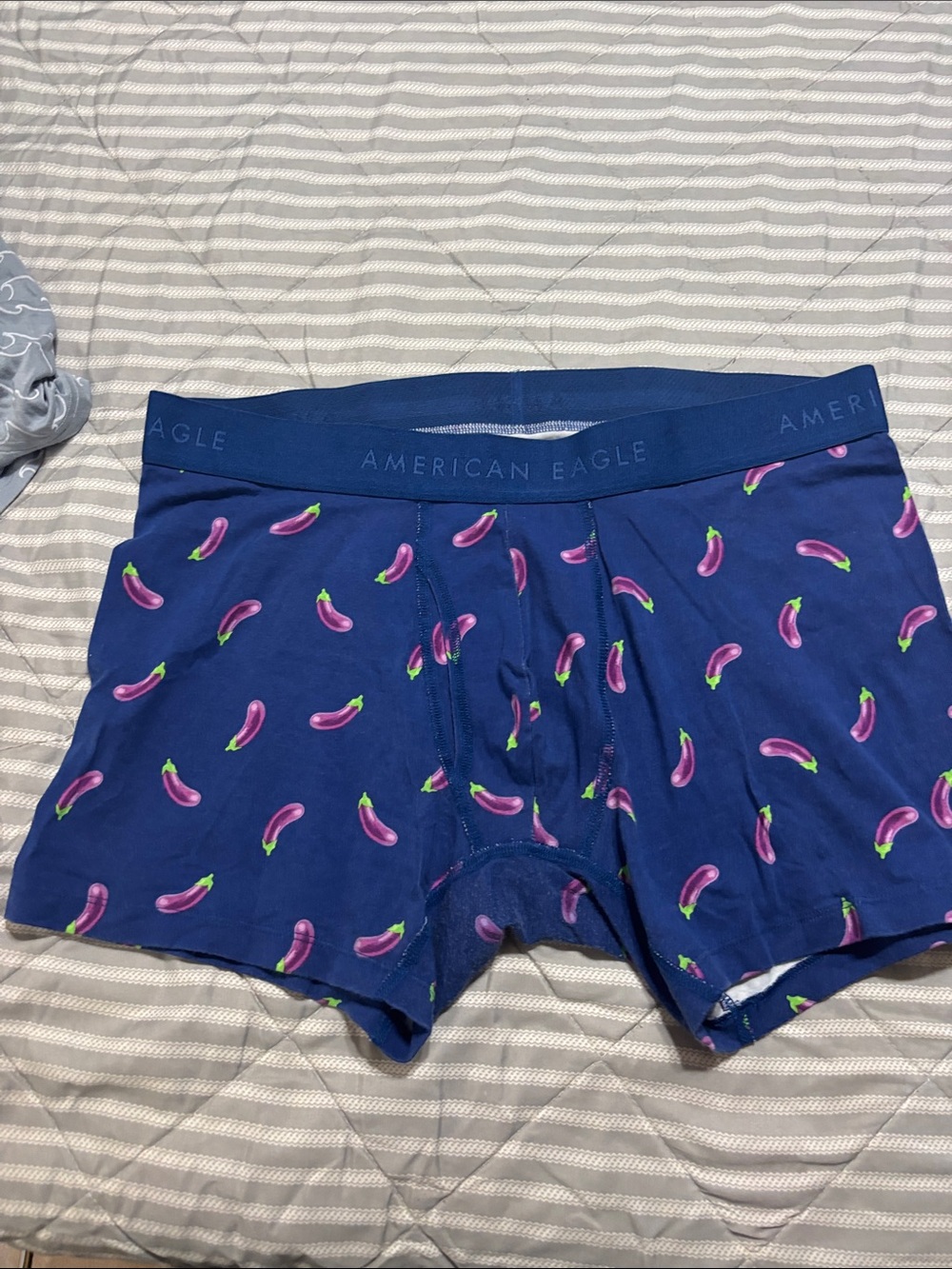 American Eagle Outfitters Blue Boxer Briefs with Purple Eggplant Print